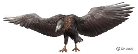 The Texas-sized 'monster' bird that created a huge flap back in 1975 ...