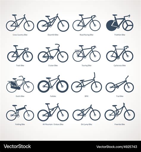 Bicycle types Royalty Free Vector Image - VectorStock