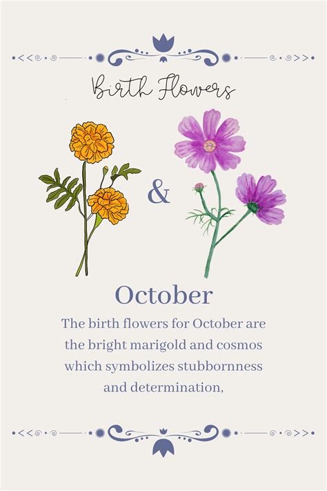 October Birth Flowers: Vibrant Marigold and Cosmos