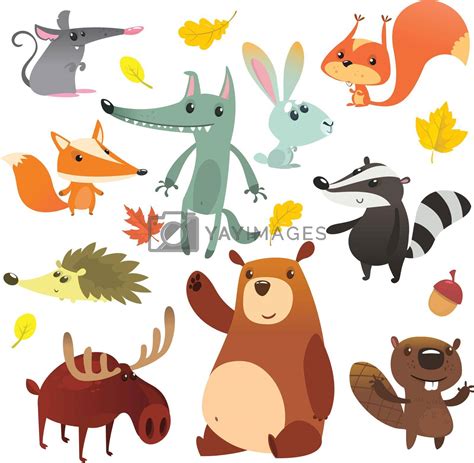 Cartoon forest animal characters. Wild cartoon cute animals set. by ...