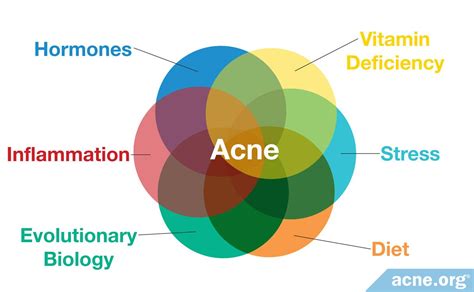 What Causes Acne? - Acne.org