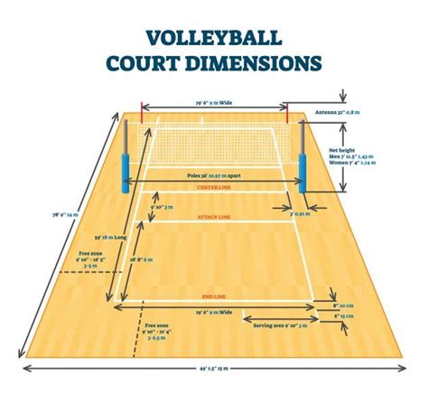 Premium Vector | Volleyball court dimensions size guide, illustration ...