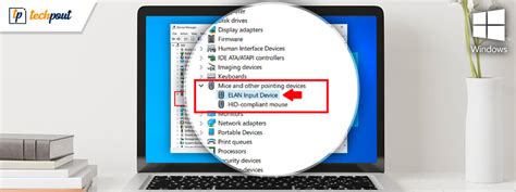 Elan Touchpad Driver Download and Update for Windows 10, 11