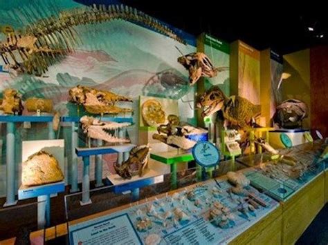 Mississippi Museum of Natural Science in Jackson | Museums