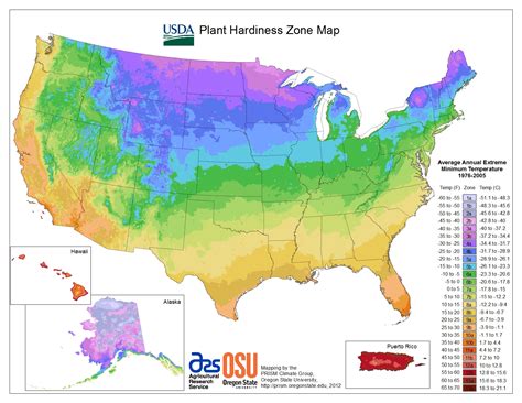 Plant Hardiness Zones | The How Do Gardener