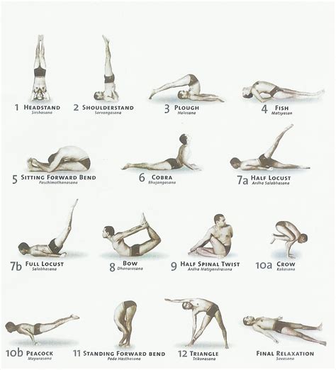 12 Basic Asanas - YOGA TREATYOGA TREAT