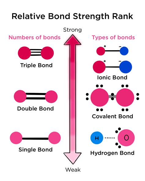 Relative Strengths of Bonds — Overview & Comparison - Expii