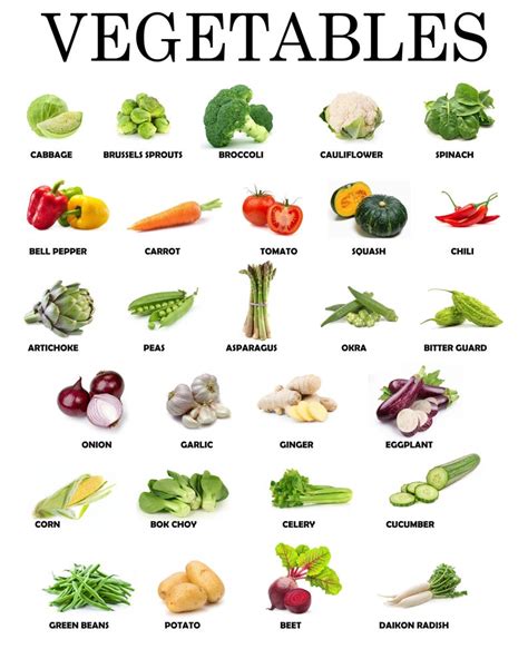 Instant Download Printable Vegetables Educational Posters Montessori ...