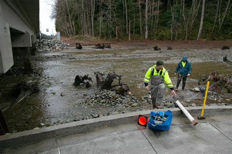 Meadowdale Beach updates give fish, hikers more room to roam ...