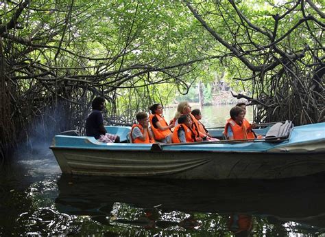 Madu Ganga River Safari, Bentota - Timings, Accessibility, Best Time to ...