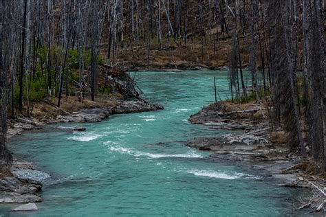 River's Edge: Vermilion River © 2012 Christopher Martin9748