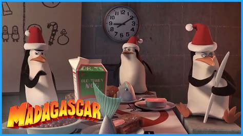 DreamWorks Madagascar | Somethings Missing | Penguins of Madagascar ...