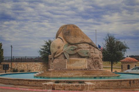 10 Best Things To Do In Mckinney Texas - Passport To Eden