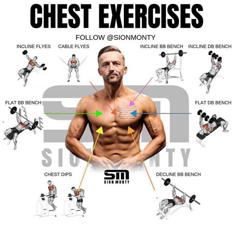 10 Best Chest Exercises For Building Muscle - GymGuider.com ...