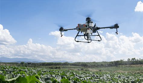 The Use of Drones in Agriculture Today