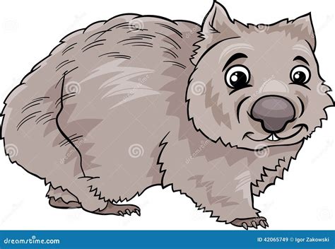 Wombat Cartoon Pictures - Wombat Marsupial | Driskulin