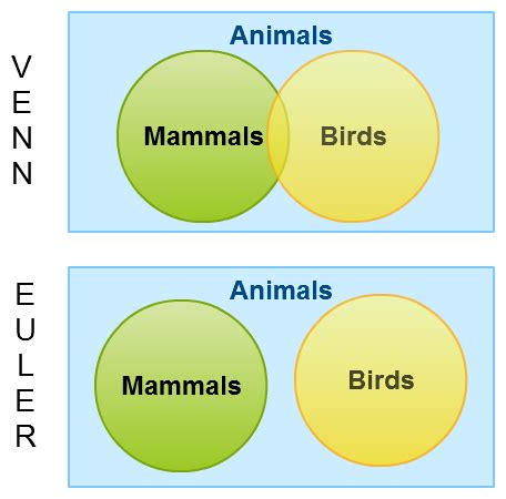 Venn Diagrams vs Euler Diagrams Explained with Examples