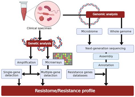 Antibiotics | Free Full-Text | Antimicrobial Susceptibility Testing: A ...