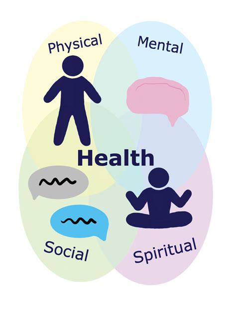 The Importance of Holistic Health in Daily Life – LearnGrowHealthy