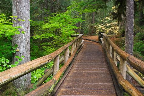 Trail to Sahalie Falls, Willamette National Forest, Oregon | Oregon ...