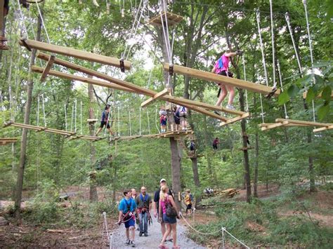 Long Island's First Aerial Forest Adventure Park to Open in Wheatley ...