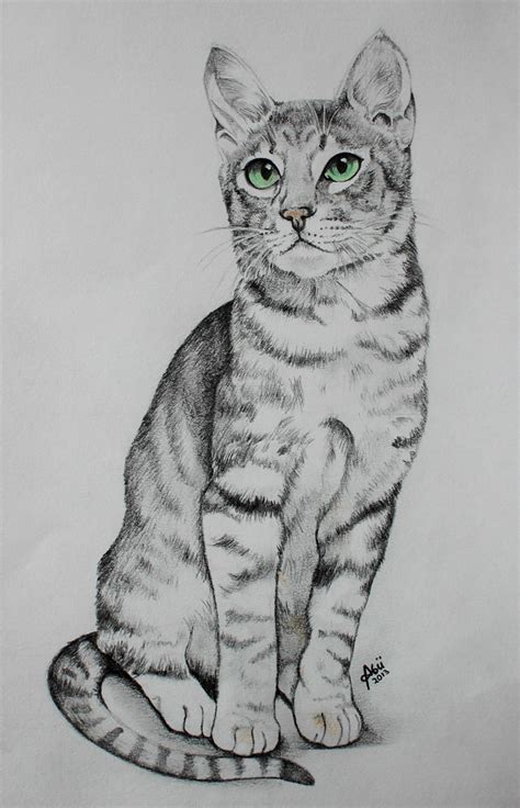 30+ Cat Drawing Pencil Sketch - Aleya Wallpaper