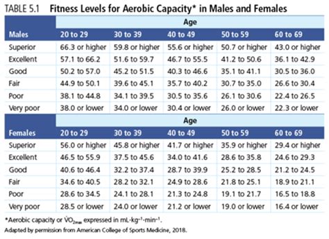 How to measure aerobic capacity and what does it mean? - OPTIMUM ...