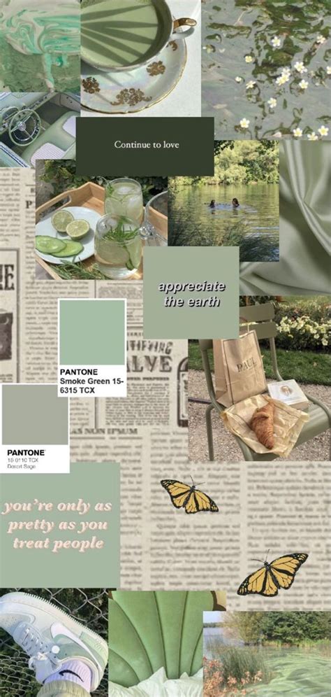 sage green aesthetic wallpaper | Fondos de pantalla verde, Estética ...