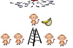 5 Monkeys Experiment and Applications to Our Work Life | Balanced Work Life