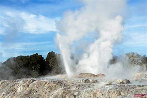 - Pohutu Geyser erupting, Te Puia, Rotorua, New Zealand | Royalty Free ...