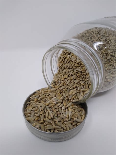 Rye Berries (25 lb bag) | FairhavenMill