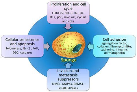 Marine Drugs Free Fulltext Marine Drugs From Spongemicrobe