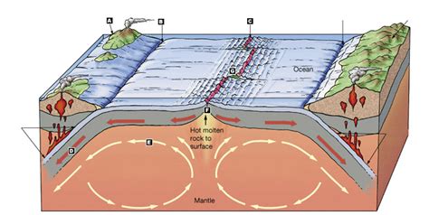 Tectonic Plate Boundaries Diagram | Quizlet