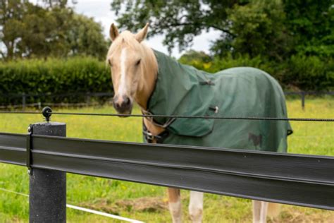 Which is the best electric fence for horses