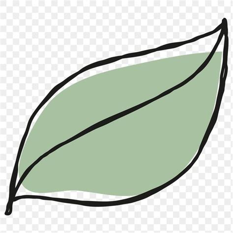 Green leaf transparent png clipart | free image by rawpixel.com / nunny ...