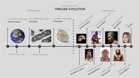 Homo Habilis Timeline