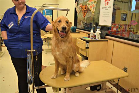 How Much Do Dog Groomers At Petsmart Make