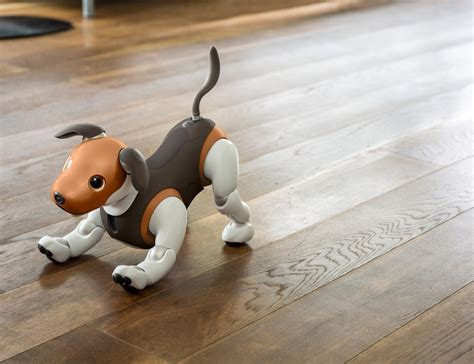 This Sony aibo Is a Cute Intelligent Dog Robot Pet