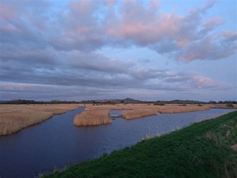 Avalon Marshes Centre (Glastonbury) - All You Need to Know BEFORE You Go