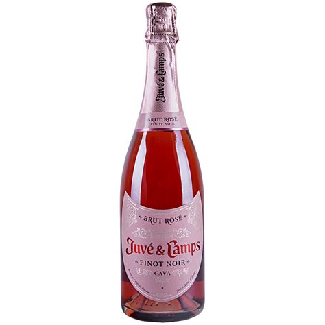 Juve Camps Pinot Noir Rose Brut 750 ml - Applejack