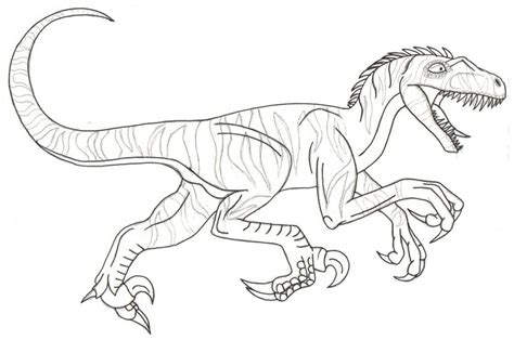 Coloriage Dinosaure Dessin Velociraptor à Imprimer | Coloriage ...