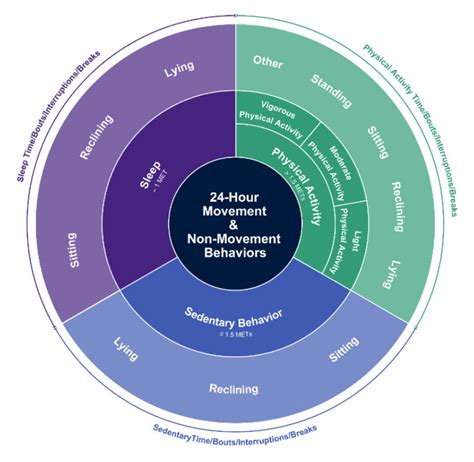 Sedentary Behavior Research Network releases standardized sedentary ...