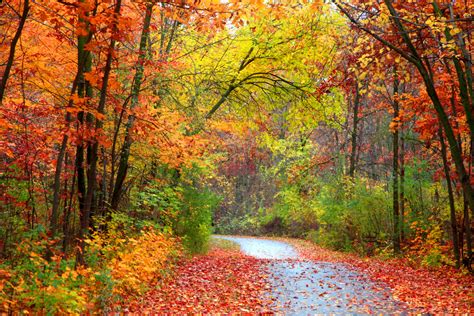 Fall colors: When to see the best foliage in your area