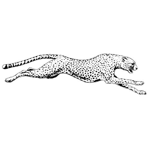 a black and white drawing of a cheetah running