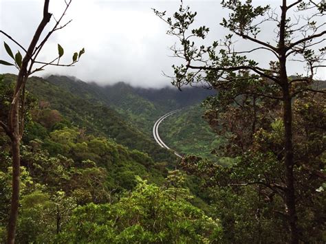 O‘ahu Hike of the Month: ‘Aiea Loop Trail