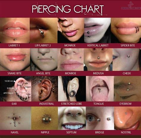 All Face Piercings Chart