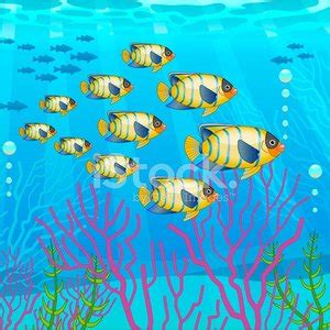 School of Fish Clipart | +1,566,198 clip arts