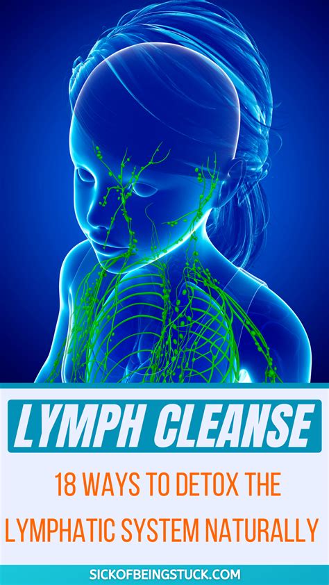 Lymph Cleanse: 18 Ways to Detox the Lymphatic System Naturally in 2021 ...