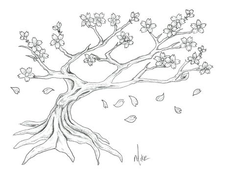 Blossom Tree Drawing at PaintingValley.com | Explore collection of ...