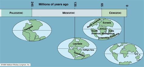 terraconvida: Estrutura e dinâmica interna da Terra - Deriva continental